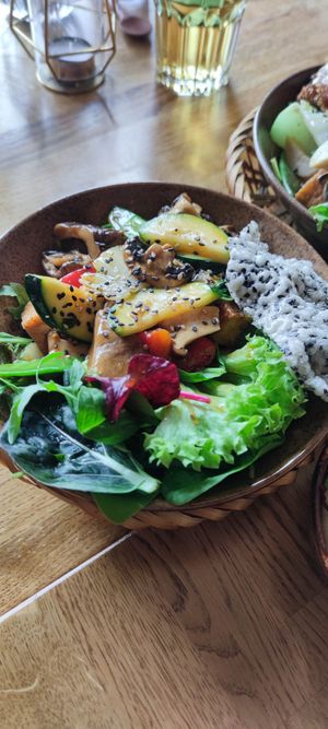  at Vegan House - Alaunstraße in Dresden