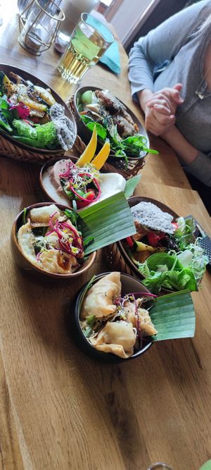  at Vegan House - Alaunstraße in Dresden