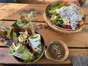 Spring rolls  at Vegan House - Alaunstraße in Dresden