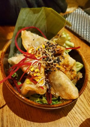 Gyosas at Vegan House - Alaunstraße in Dresden