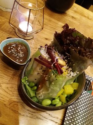  at Vegan House - Alaunstraße in Dresden