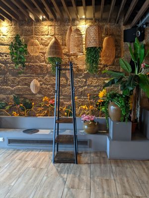  at Vegan House - Alaunstraße in Dresden