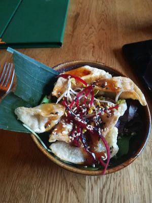  at Vegan House - Alaunstraße in Dresden