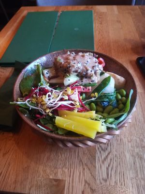  at Vegan House - Alaunstraße in Dresden