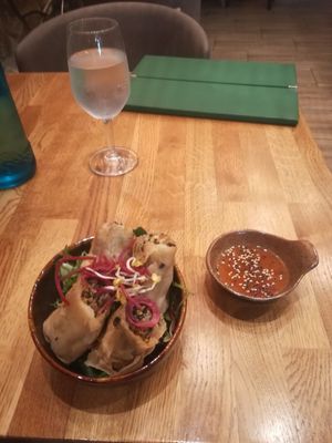  at Vegan House - Alaunstraße in Dresden