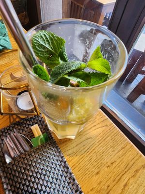  at Vegan House - Alaunstraße in Dresden