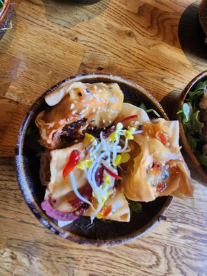  at Vegan House - Alaunstraße in Dresden