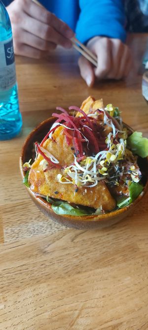  at Vegan House - Alaunstraße in Dresden