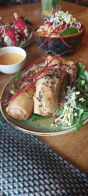  at Vegan House - Alaunstraße in Dresden