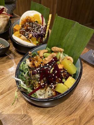Gyoza at Vegan House - Alaunstraße in Dresden