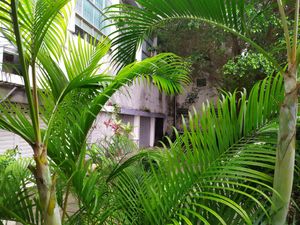  at Vegostices in Recife