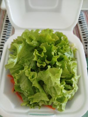 Saladinha fresca at Vegostices in Recife