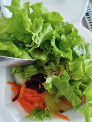  at Vegostices in Recife