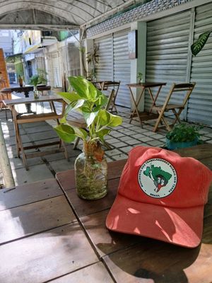  at Vegostices in Recife