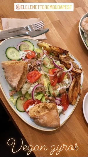 It’s  a delicious gyros with a LITTLE jackfruit :( at Élelem Etterem in Budapest