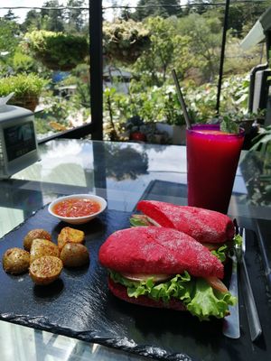 Veganes Panini at Boca2 in Monteverde