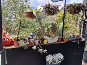  at Boca2 in Monteverde