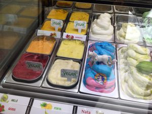 Labelled vegan options  at Sa Gelateria Gelats Artesans  in Girona