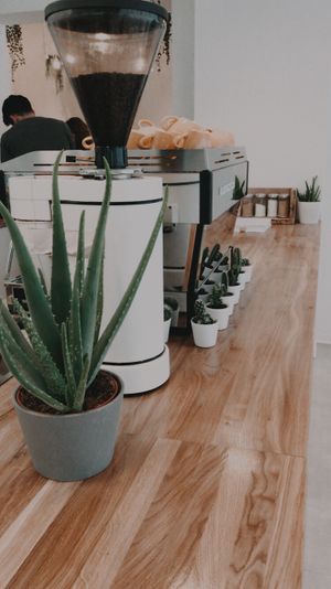 Good coffee at Sunny Side Up - Westend in Frankfurt