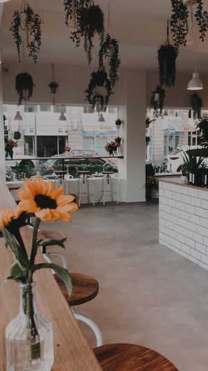 🌱😍 at Sunny Side Up - Westend in Frankfurt