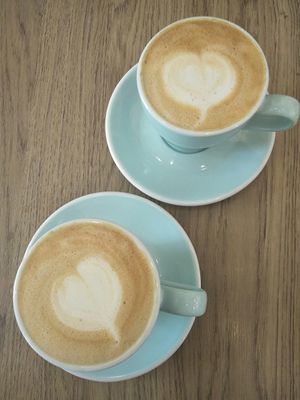 Oatly lattes. at Knowing Cafe in Shanghai