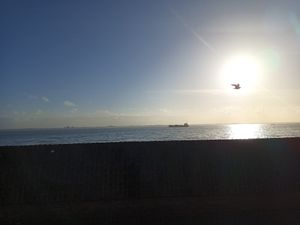 View #Veganuary at Pier 7 in Vlissingen