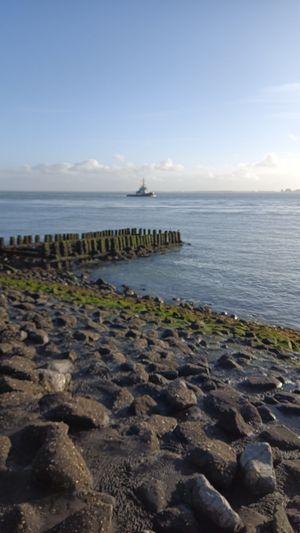 Beach walk  #Veganuary at Pier 7 in Vlissingen