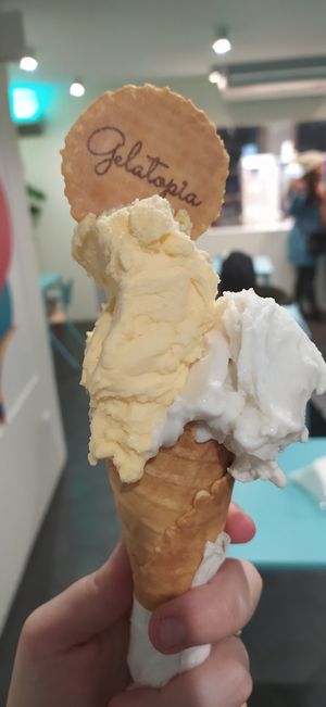 Tangerina e gengibre at Gelatopia in Porto