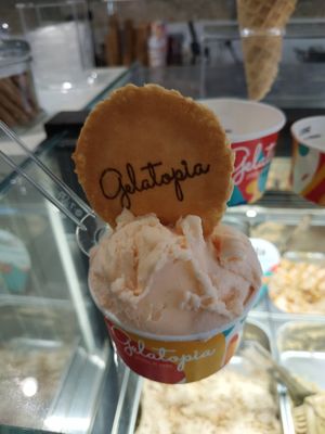 Helado de melón (vegan) at Gelatopia in Porto