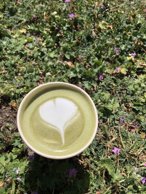 I love green at Mica Coffeebar in Haarlem