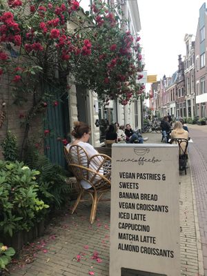 Gorgeous and quiet street  at Mica Coffeebar in Haarlem