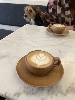 Goed gezelschap 💓  at Mica Coffeebar in Haarlem