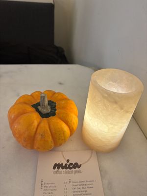   at Mica Coffeebar in Haarlem