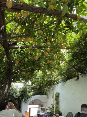   at Pizzeria Donna Stella in Amalfi