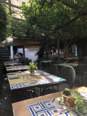 Beautiful terrace underneath lemon trees at Pizzeria Donna Stella in Amalfi