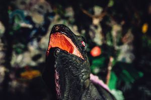 pics at Lost World Restaurant in Lanzarote