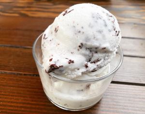 Coconut chip ice cream   at Hippo in Los Angeles