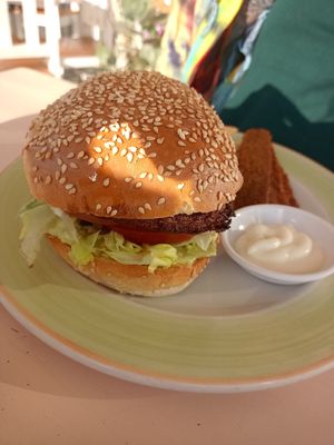 Happy Salmon burger at Plant Cafe in Cape Town