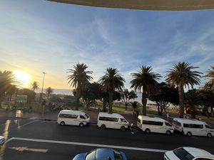   at Plant Cafe in Cape Town