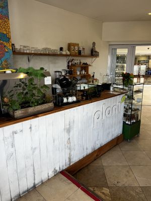   at Plant Cafe in Cape Town