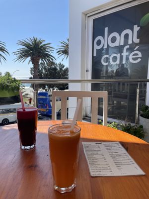   at Plant Cafe in Cape Town
