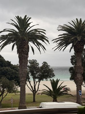   at Plant Cafe in Cape Town