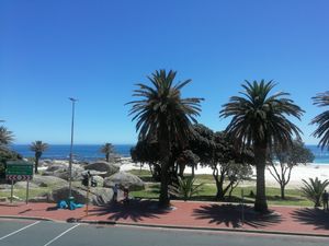 Vegan food with ocean view. at Plant Cafe in Cape Town