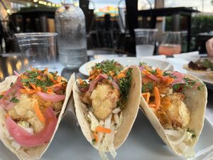 Vegan cauliflower tacos 🌮   at Keg & Kitchen in Haddon Township