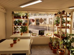 Seating at The Green Corner  in Aarau