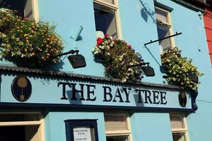 Front Entrance of The Bay Tree at The Bay Tree in Portlaoise