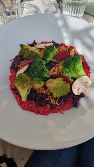 Vegan risotto - the plate is huge so don't be deceived, it was a lot of food! at Café Saint-Jean in Avignon