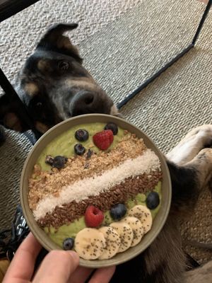 Avocado bowl  at Oscar Natural Good Food & Bar in Koblenz