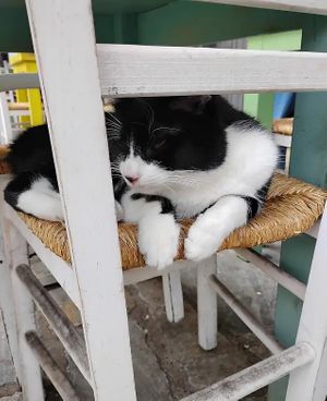   at Kalamaki in Kalamata