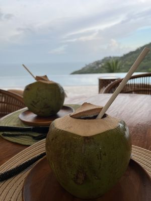 Fresh coconut   at Halapua by Kapuhala in Koh Samui